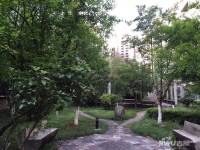 滨湖人家实景图8