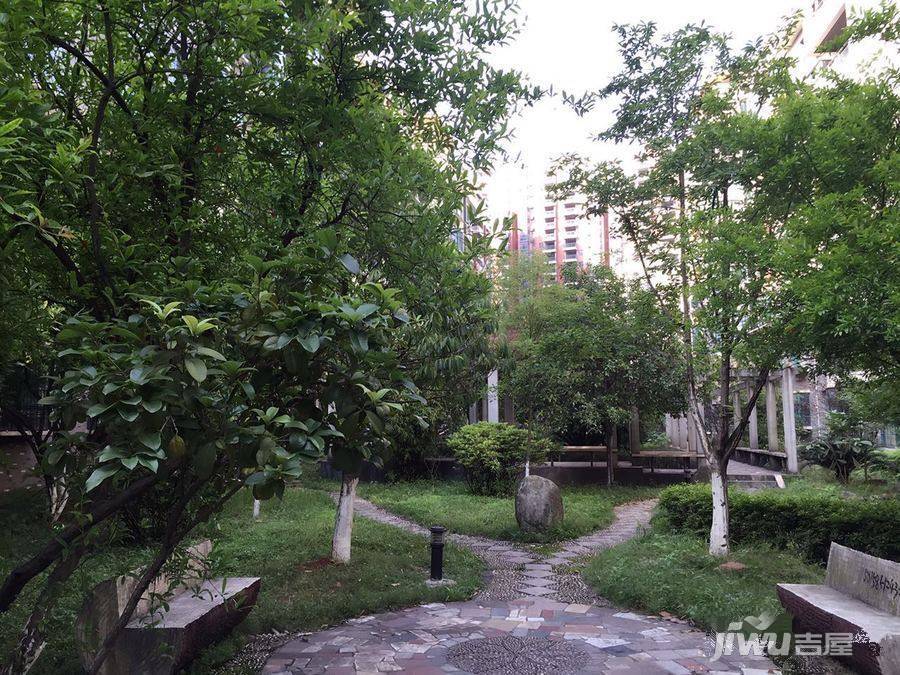 滨湖人家实景图9