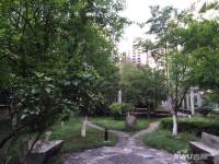 滨湖人家实景图8