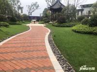天润芙蓉实景图图片