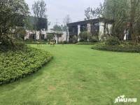 天润芙蓉实景图图片