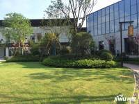 天润芙蓉实景图图片
