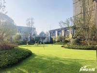 天润芙蓉实景图图片