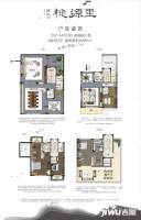 碧桂园桃源里4室2厅5卫380㎡户型图